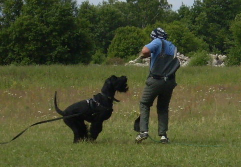 Training in Estonia 6/2007